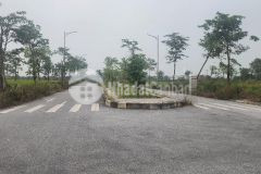 Phân lô vỉa hè ô tô vòng quanh dt 137m² mt 7,5m cổ dương tiên dương đông anh