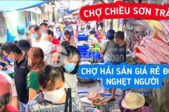 Siêu rẻ bán nhà trọ dt đất 109m2, mt đường qh 7,5m, kv biển sơn trà, đà nẵng giá tốt.