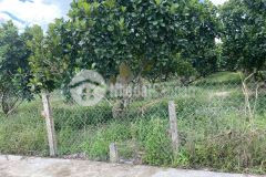 Bán miếng vườn sổ hồng riêng hơn 1000m2 giá 180 triệu