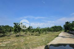 Bán đất kcn bảo hiệu, yên thủy, hòa bình giá rẻ 570tr có 869m