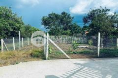 Cần bán đất sào tân phước giá tốt, 2 mặt tiền suối, gần kcn, cơ hội đầu tư tốt nhất