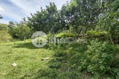 Bán vườn bưởi khánh thành phù hợp thổ cư cạnh sông khế sát đường liên xã gần trường học