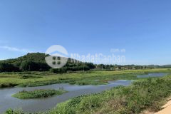 Bán đất tịnh ấn đông 928m2 đất ở hoàn toàn lh 034 846 8889