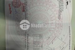 Cần bán 1177m2 đất vườn có thổ cư. 36x40 2 mặt tiền sông 1 mặt tiền nhựa. thích hợp xây nhà vườn