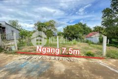 Bán đất diên xuân giá rẻ thôn xuân trung gần tỉnh lộ 8
