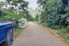 Phú thành, lạc thuỷ, hoà bình giá chỉ 4,2trm2 có 1000m 250m thổ