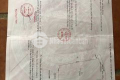 Bán đất xây dựng kho xưởng tại phường tân hiệp, thành phố tân uyên, bình dương diện tích 5300 mv