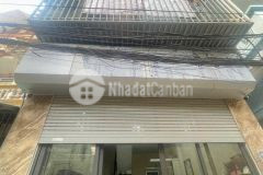 Nhà hoàng mai thế vững chãi như bàn thạch