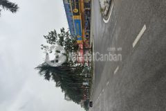 Đản mỗ uy nỗ đông anh nhà 3 tầng dt 46m² mt 4,4m gần hồ ô tô nhỉnh 3 tỷ