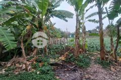 Bán đất siêu đẹp, di trạch, xuân phương, 400m2 giá chỉ nhỉnh 1 tỷ, bạt ngàn tiện ích