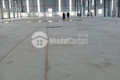 Kho, xưởng cho thuê tại đường ql 5a. huyện văn lâm.hưng yên