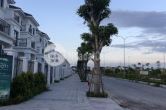 Bán biệt thự 3 tầng mới xây gần ủy ban thành phố thanh hóa