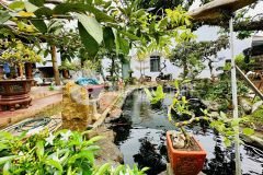 Bán nhà vườn siêu cưng đường 10a hoà thuận đạt lý 1000m2 giá chỉ 3,5 tỷ