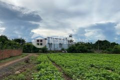 Đất thôn 8 xã cưebua 10x30m thổ cư 60m2 giá 1,290 tỷ