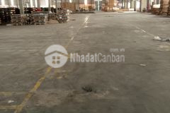 Cho thuê kho tại kcn hà bình phương. huyện thường tín. hn