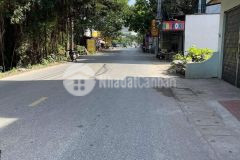 Chính chủ cần bán 100m2 tại nhạc lộc, trưng trắc, sát vin 2 0835459289