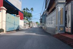 Đất trục chính trung oai tiên dương đông anh dt 90m² mt 5m đường ô tô tải