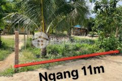 Bán đất khánh phú thôn sơn thành đường bê tông thông