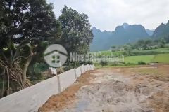 Lô đất full thổ cư dẻ cau, lương sơn, hoà bình, 1.35 tỷ có 310m², mặt tiền 11m