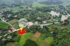 Chủ gửi bán lô đất 1.050m phú thành, lạc thuỷ, hoà bình giá rẻ chỉ 4.2trm2, 250m thổ