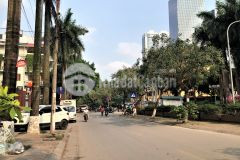 Bán gấp đất mặt phố phan kế bính ba đình 185m2 vỉa hè ôtô tránh kinh doanh 62 tỷ 0394743696