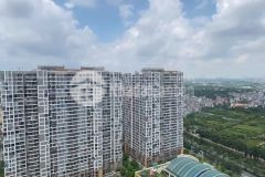 Căn 3n góc view hồ tầng cao rất thoáng, hướng đn tn cửa vào đông bắc giá chỉ 4.5x tỷ