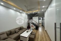 Nhà đẹp 5 tầng vĩnh ngọc đông anh dt 51m² mt 3,6m view cầu nhật tân ô tô