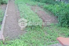 Chính chủ bán 85m đất đông mai, chỉ đạo, văn lâm 0828218468