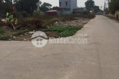 Lô góc 3 mặt tiền khu đấu giá, sát vành đai 4, chủ cần bán gấp 0835459289