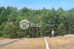 800m2 có 200m2 thổ cư tại phú thành, lạc thuỷ, hoà bình giá chỉ 4trm2