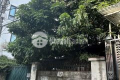 Siêu hiếm, bán đất phân lô xuân la, tây hồ 60m, mt 4.5m, 16 tỷ, ô tô,