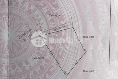 Chưa đến 26trm2 sở hữu ngay căn biệt thự sân vườn đà lạt