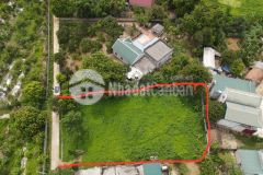 Bán đất nhuận trạch, lương sơn, hòa bình 1077m2, giá 5 tỷ