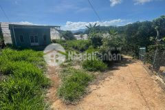 Về với thiên nhiên 1 mảnh vườn nhỏ hơn 1 xào ngay trung tâm tà nung