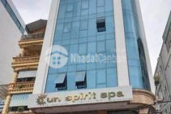 Bán gấp nhà đất lớn thích hợp xây tòa nhà đường cô bắc, quận 1