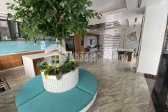 Bán nhà mặt phố đường cách mạng tháng tám, quận 10, 105m2 5x21 với 7 tầng có thang máy xịn xò