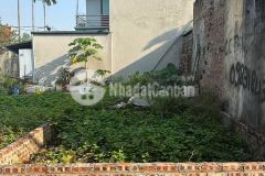 Bán đất đông dư 41m2 mt 3,7m giá 3,3tỷ