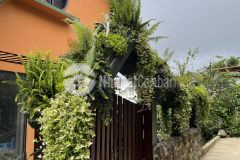 Chính chủ cắt lỗ biệt thự ngay trung tâm đà lạt 450m2 giá chỉ 27trm2