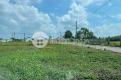 Cần bán đất tỉnh cần đước, long an, 110m2 giá 500tr