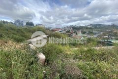 Chủ cần bán lô đất 1161m2 mặt tiền đường nhựa triệu việt