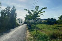206m2 đất thổ đông thạnh, cần đước mặt tiền đường nhựa giá 2 tỷ