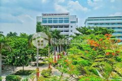 Siêu phẩm cao đẳng công thương, phước long b, thủ đức, 2 tầng, ngang 5m, 80m2, nhỉnh 4 tỷ