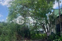 Bá.n nề.n 100m2 đường b1 kdc phú an, cái răng, cần thơ. g.iá 2.5 t.ỷ