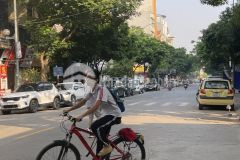 Đất đẹp đường to vỉa hè thoáng giá đầu tư ngõ phố phúc lợi dt 73m2. giá 158 triệu m2