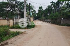 Đất rẻ nhuận trạch lương sơn, hòa bình 1341m2 giá 6,5tỷ