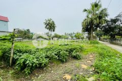 Chính chủ cần bán đất thỏ cư sổ đỏ lâu dài gần cụm công nghiệp xã quảng bình chỉ nhỉnh 700 triệu