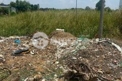 12300m2 đất thổ vườn mặt tiền tỉnh lộ 830 giá 99 tỷ