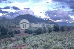 Chưa đến 1 tỷ sở hữu 8000m2 lô đất thị trấn mộc châu