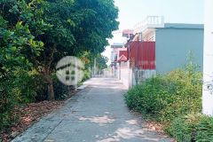 Cần bán mảnh đất 50 năm sổ đỏ sẵn sàng giao dịch ở thanh trì hà nội