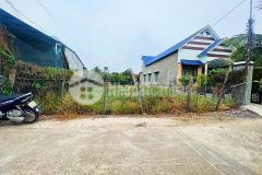 Bán đất diên phước giá rẻ full thổ cư đường thông